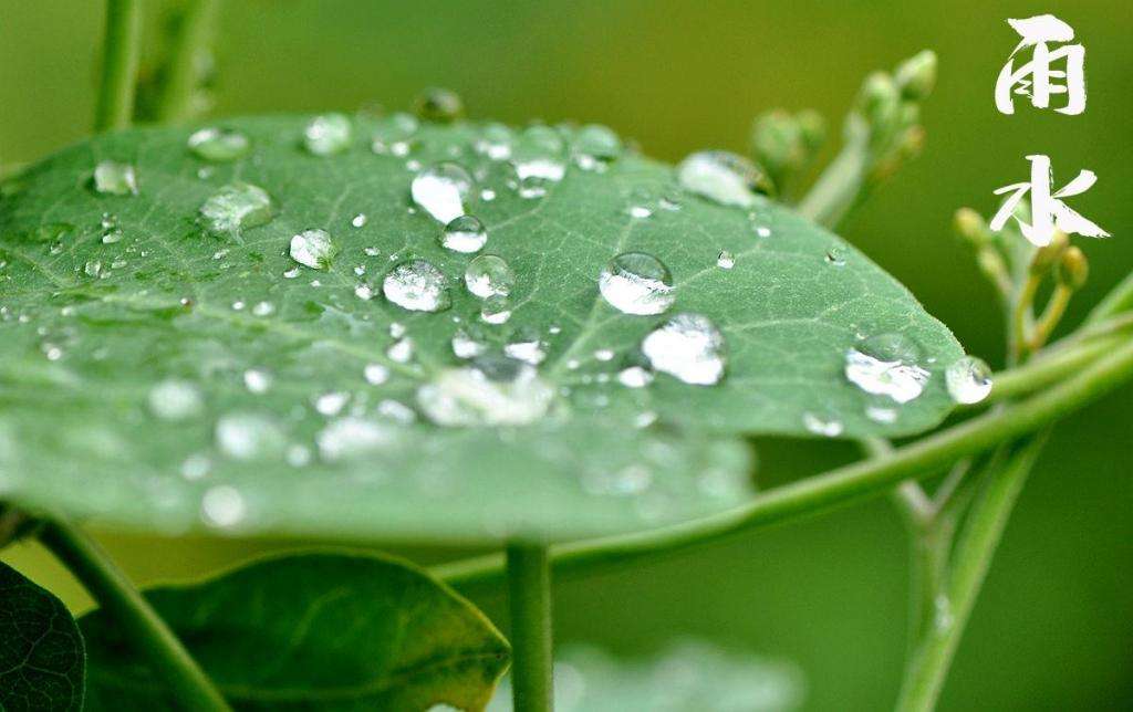 雨水潤萬物，兼顧沙與泥！